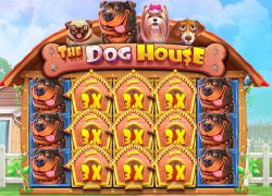 The Dog House